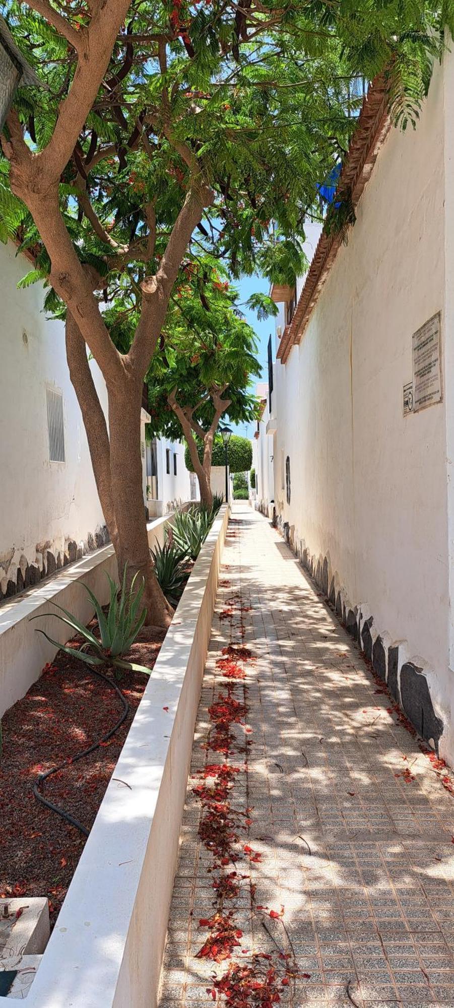 Kassisaba Apartment Costa Del Silencio Exterior photo
